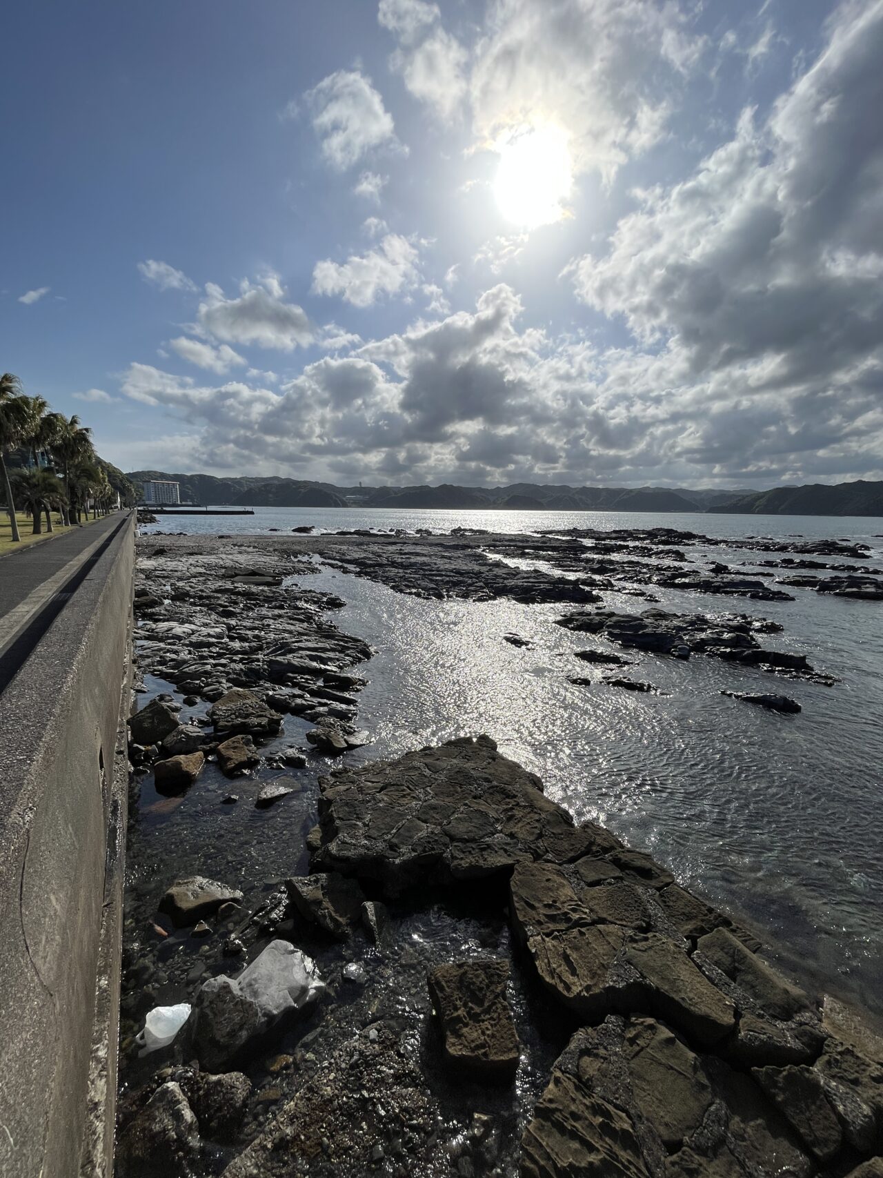 目の前に広がる海