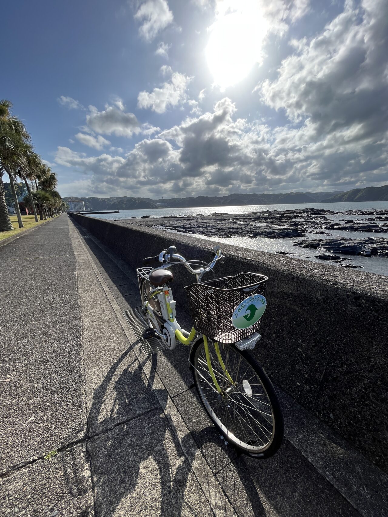 レンタルサイクルと海の景色