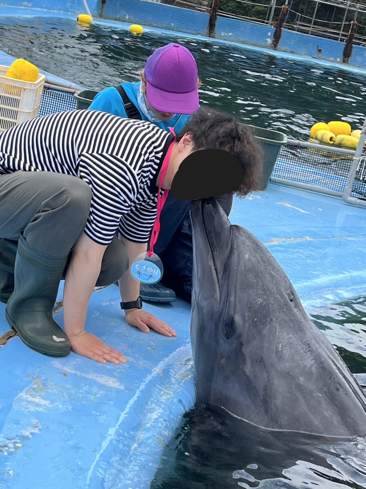 イルカとキスできる体験