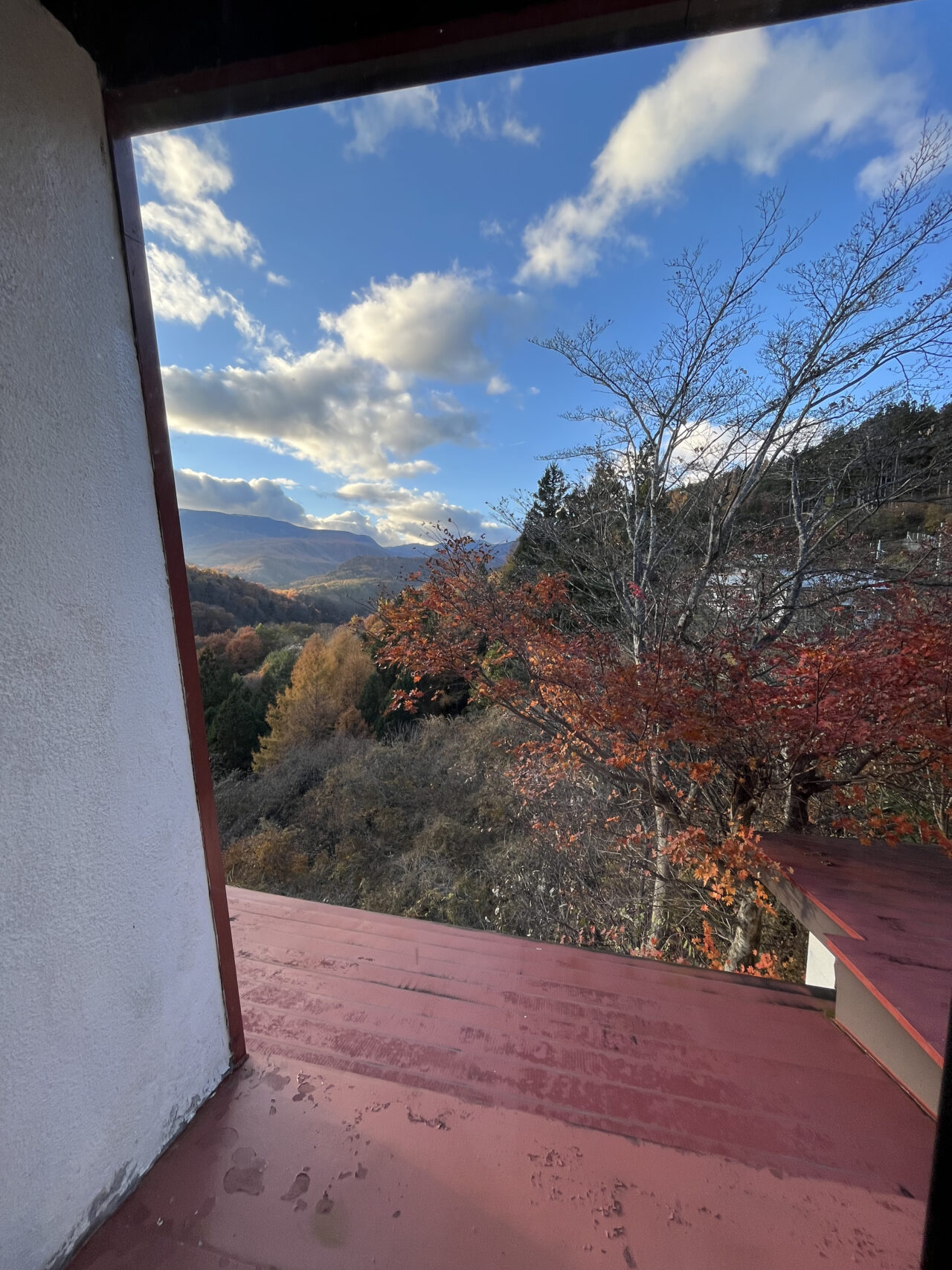 窓から見える山々の雄大な景色