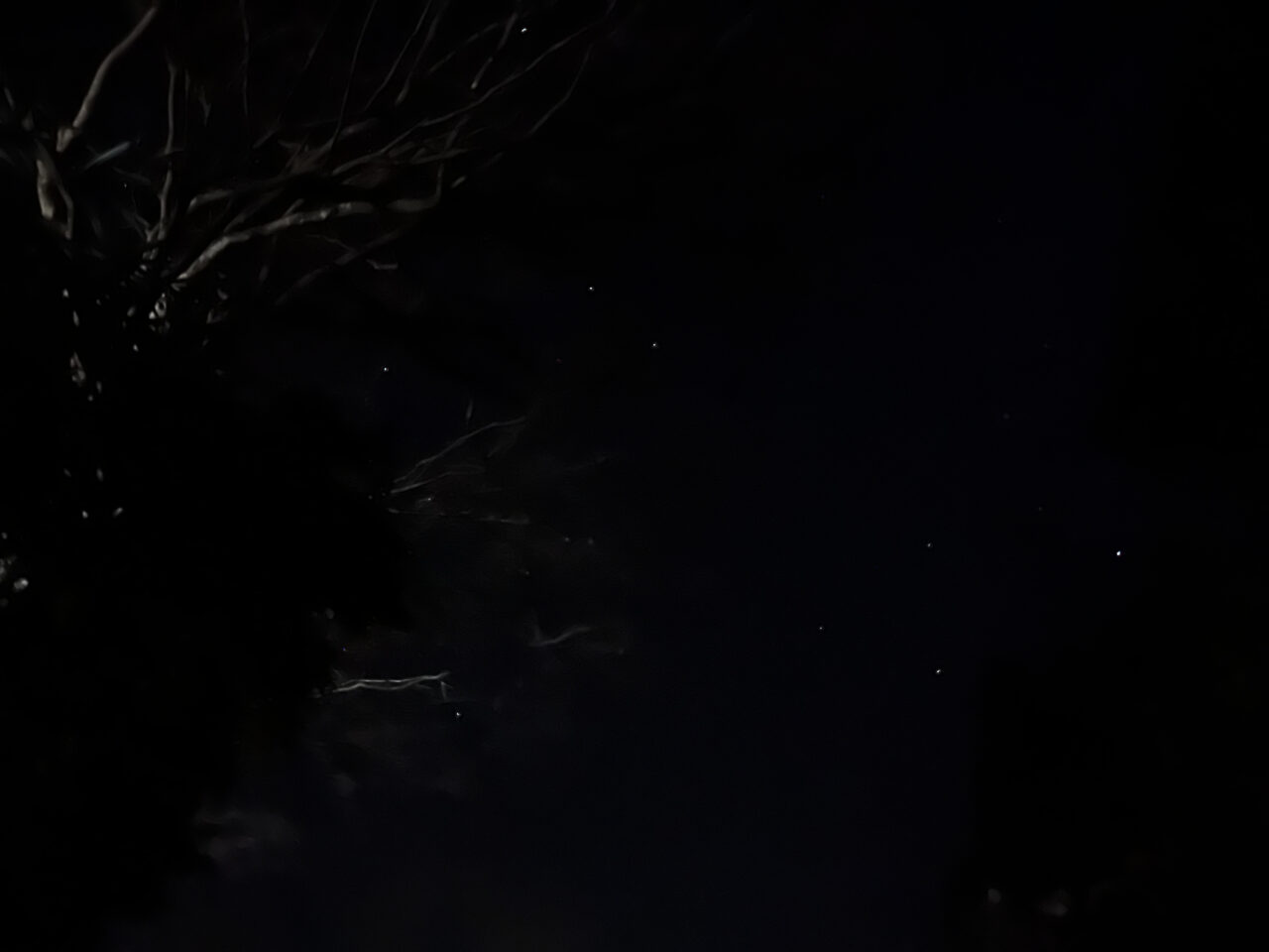 露天風呂の上空には星空も