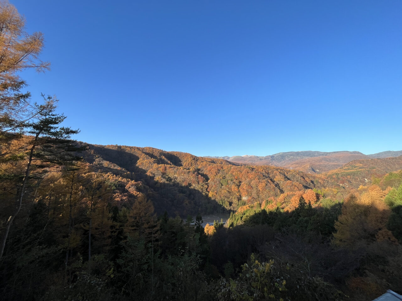朝には紅葉の絶景が望める