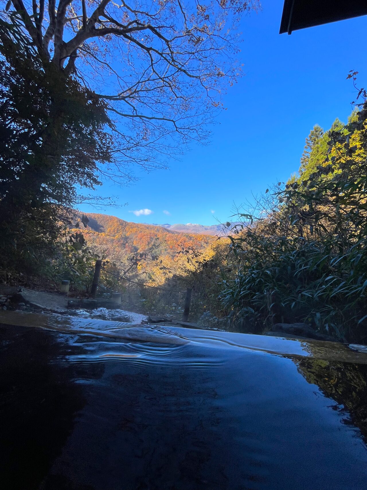 温泉に入りながら紅葉の絶景