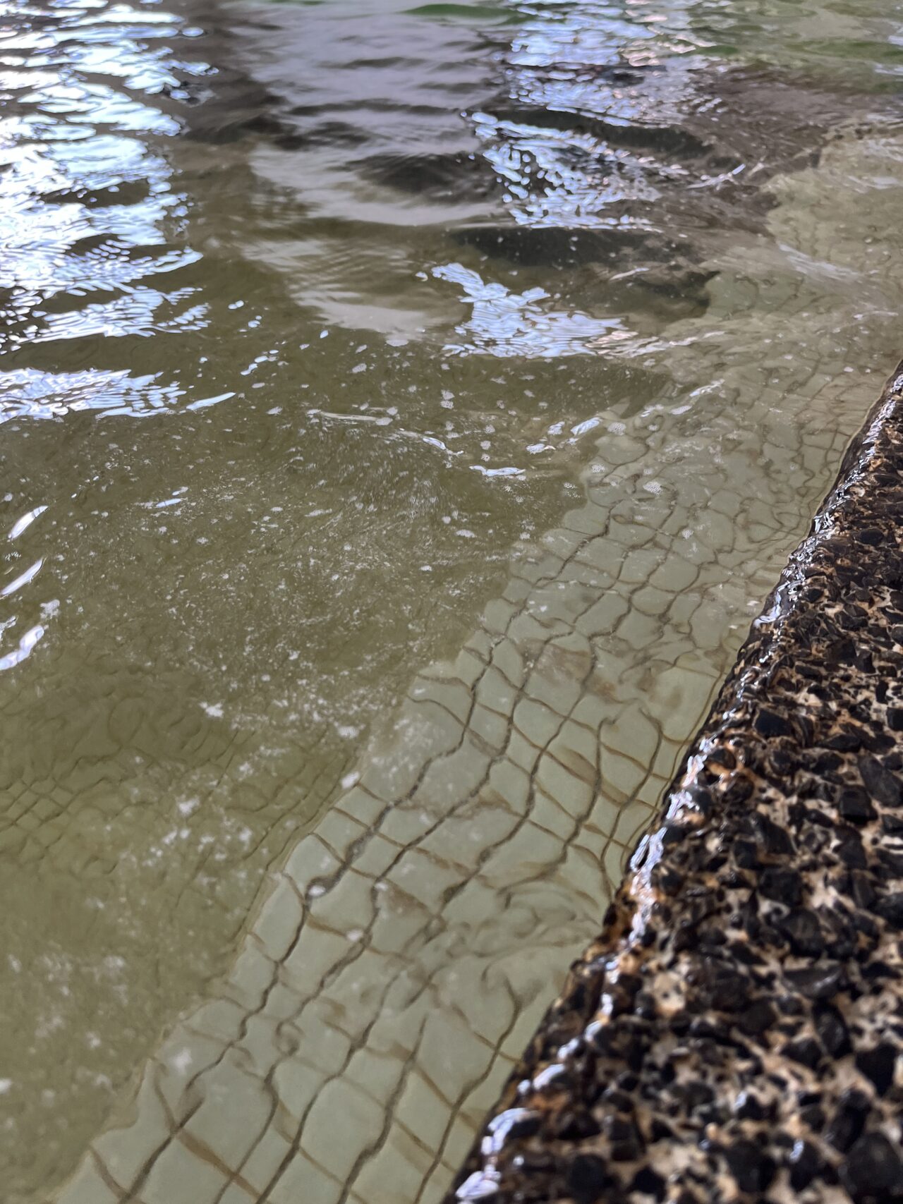 お湯の表面には泡のようなものが