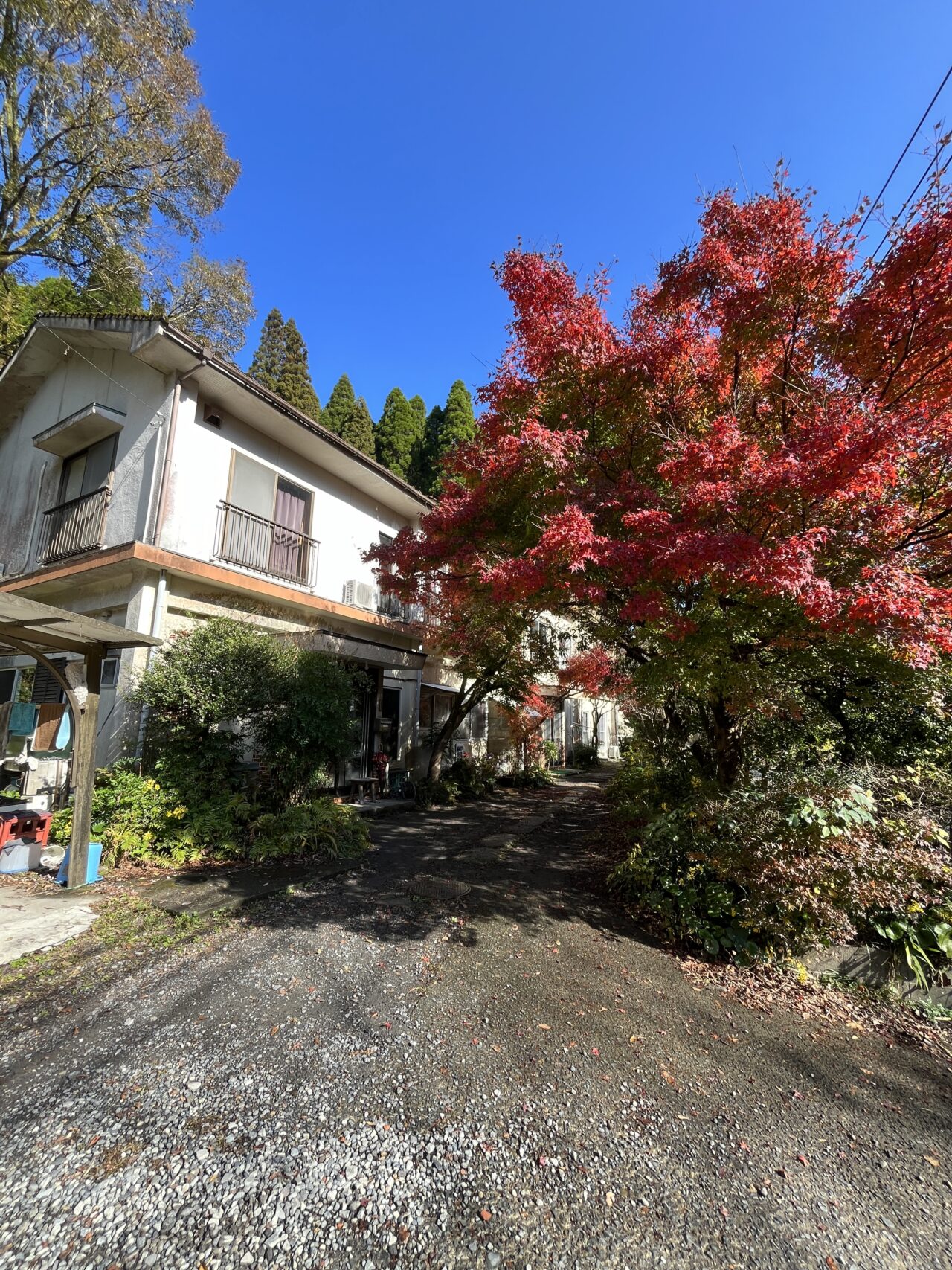 一軒家のような秀水湯