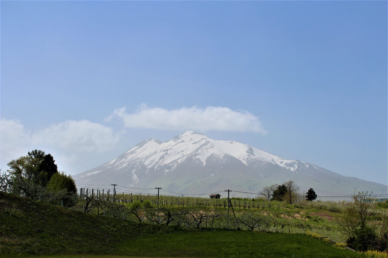 リンゴ畑と岩木山