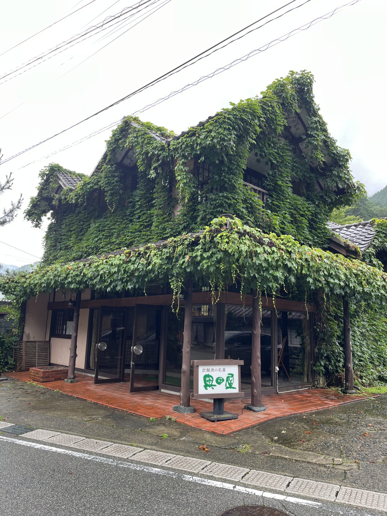 ツタが建物を覆う